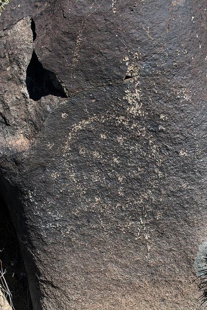 Three Rivers Petroglyphs (5981)