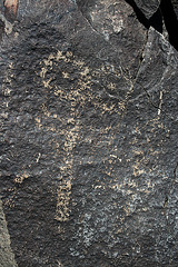 Three Rivers Petroglyphs (5982)