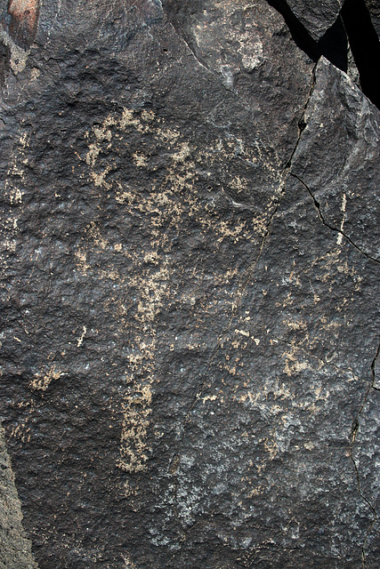 Three Rivers Petroglyphs (5982)