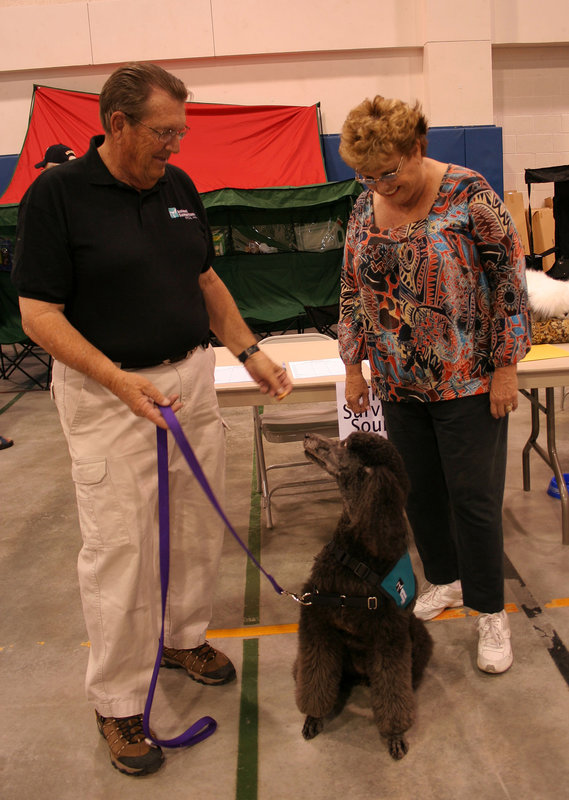 There Should Be A Therapy Dog At Every Event (3984)