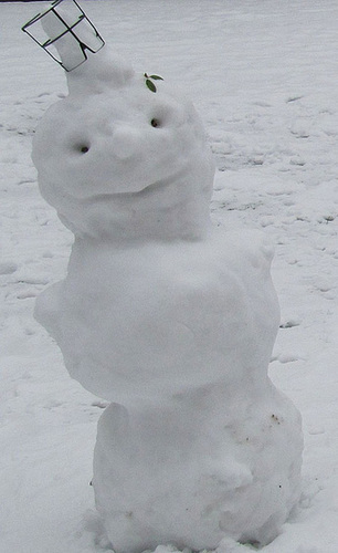 Schneekind