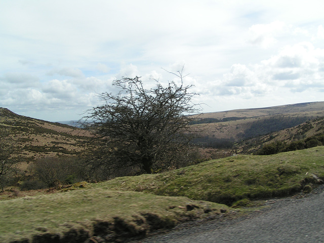 Dartmoor