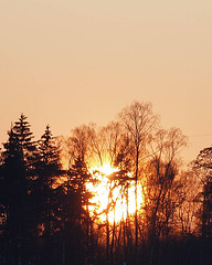 Sonnenuntergang 2010-03-07