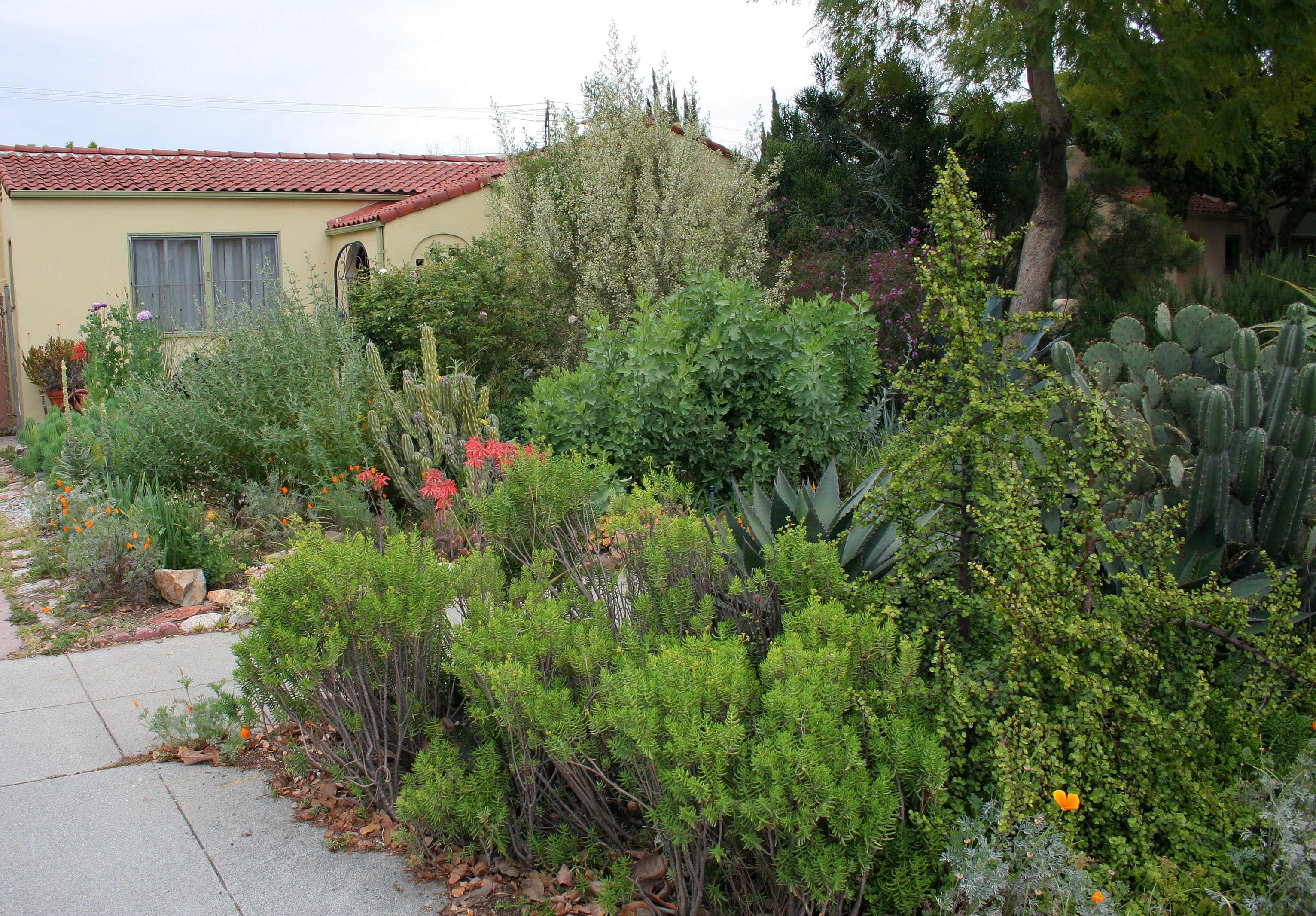 L.A. Garden Tour (6394)