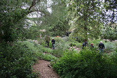 L.A. Garden Tour (6421)