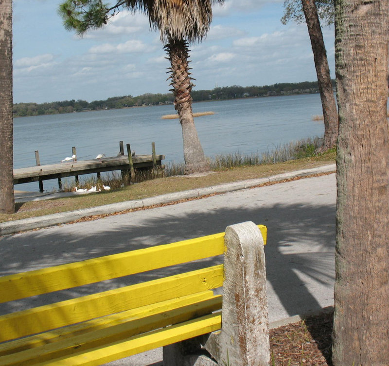 Ibis on the dock..