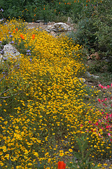 L.A. Garden Tour (6446)