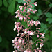 L.A. Garden Tour (6468)