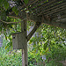 L.A. Garden Tour (6471)