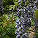 L.A. Garden Tour (6474)