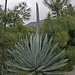 L.A. Garden Tour (6483)