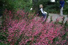 L.A. Garden Tour (6494)