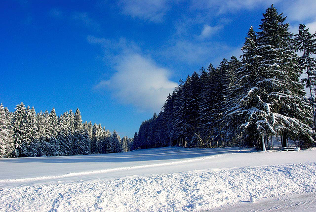 Oberallgäu