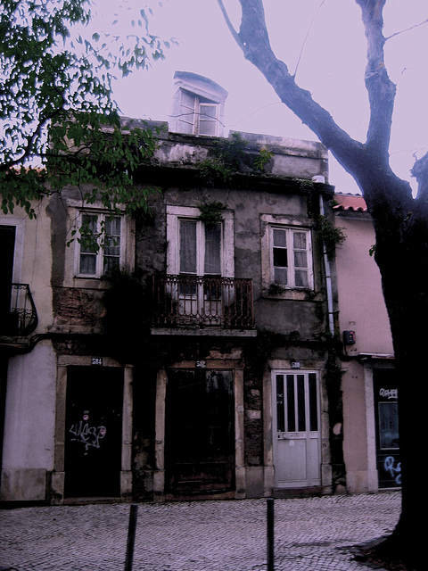 Benfica, old houses (10)