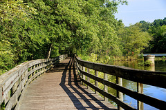 Boardwalk