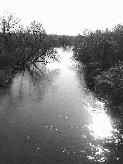 Petite rivière dans ma ville /   Hometown small river - 16 mars 2010- N & B