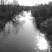 Petite rivière dans ma ville /   Hometown small river - 16 mars 2010- N & B