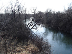 Petite rivière dans ma ville /   Hometown small river - 16 mars 2010 - Photo originale