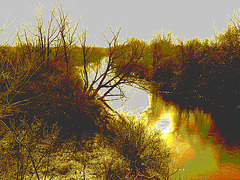 Petite rivière dans ma ville /   Hometown small river - 16 mars 2010- Sepia et gris photofiltré en postérisation