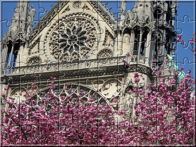 15 Avril 2019 : en hommage à cette vieille Dame