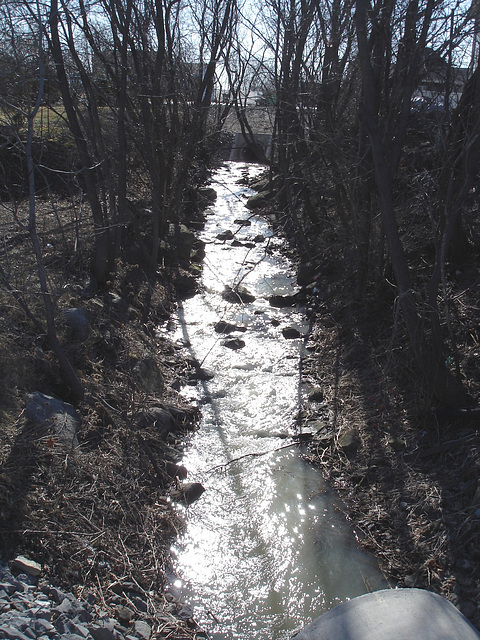 Ruisseau dans ma ville /  Hometown stream - 16 mars 2010