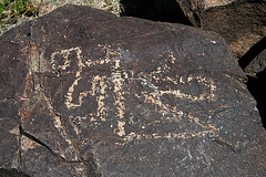 Three Rivers Petroglyphs (5983)