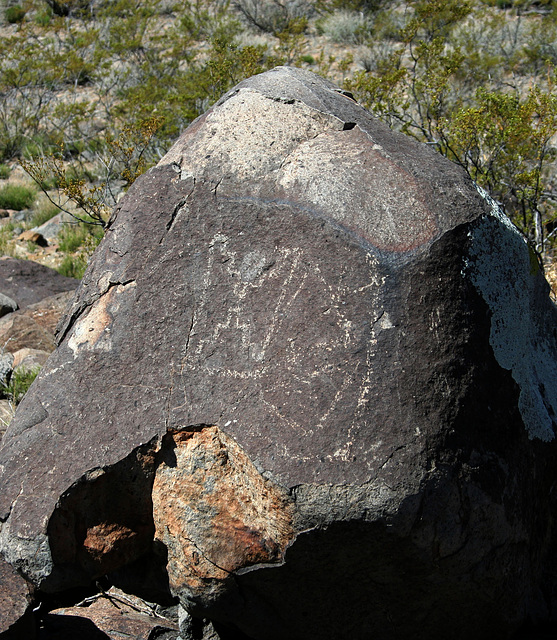 Three Rivers Petroglyphs (5986)