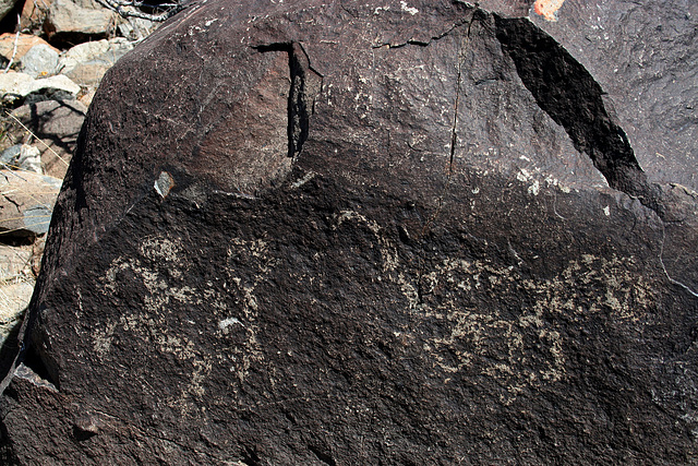 Three Rivers Petroglyphs (5989)