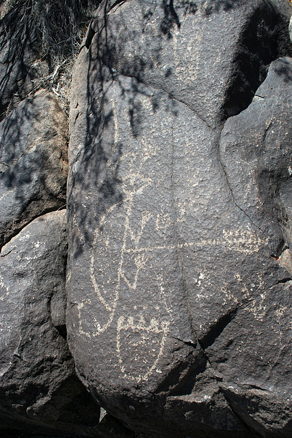 Three Rivers Petroglyphs (5991)