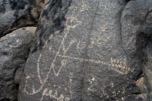 Three Rivers Petroglyphs (5993)