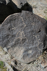 Three Rivers Petroglyphs (5998)