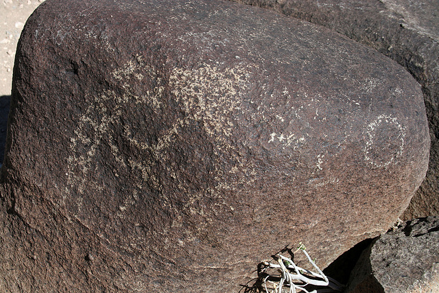 Three Rivers Petroglyphs (6003)