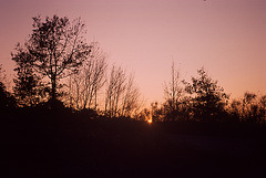 17 - Sunset 1992