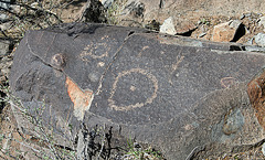 Three Rivers Petroglyphs (6005)