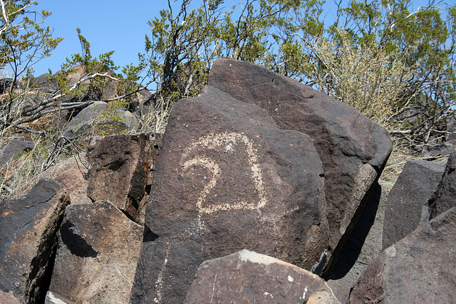 Three Rivers Petroglyphs (6008)