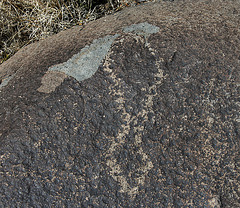 Three Rivers Petroglyphs (6011)