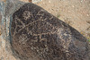 Three Rivers Petroglyphs (6012)