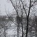 02.SnowBlizzard.RiverPark.SW.WDC.6February2010