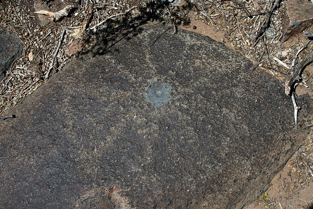 Three Rivers Petroglyphs (6013)