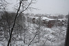 04.SnowBlizzard.RiverPark.SW.WDC.6February2010