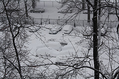 05.SnowBlizzard.RiverPark.SW.WDC.6February2010