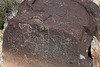 Three Rivers Petroglyphs (6014)