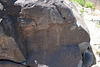 Three Rivers Petroglyphs (6015)