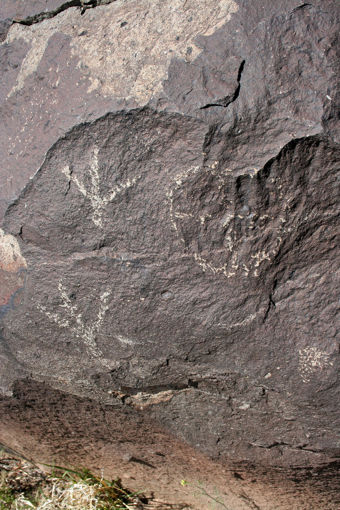 Three Rivers Petroglyphs (6016)