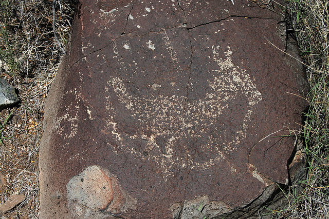 Three Rivers Petroglyphs (6017)