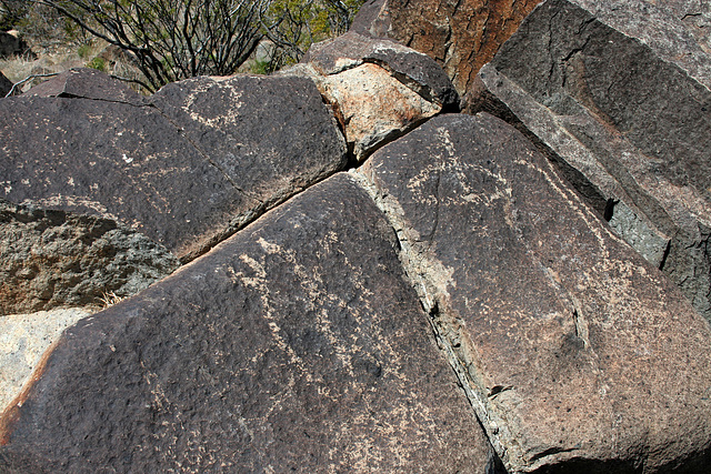 Three Rivers Petroglyphs (6018)