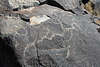 Three Rivers Petroglyphs (6019)