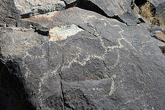 Three Rivers Petroglyphs (6019)