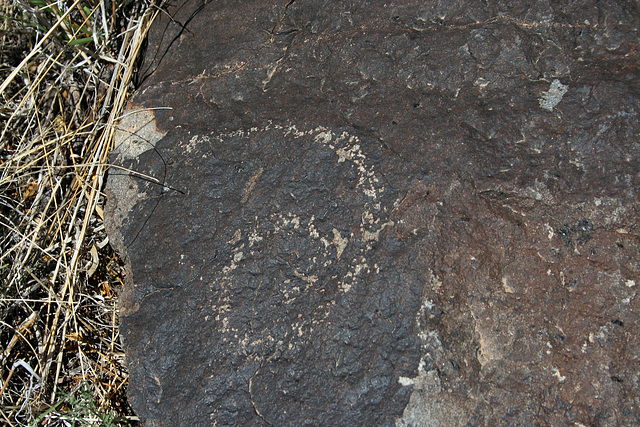 Three Rivers Petroglyphs (6020)