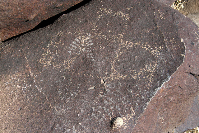 Three Rivers Petroglyphs (6023)
